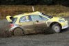 WalesWRC08-FRI-D2X-0184c.jpg