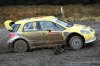 WalesWRC08-FRI-D2X-0197c.jpg